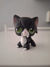 Littlest Pet Shop Cat Kitty Tuxedo Angora with green eyes and bobble head. 