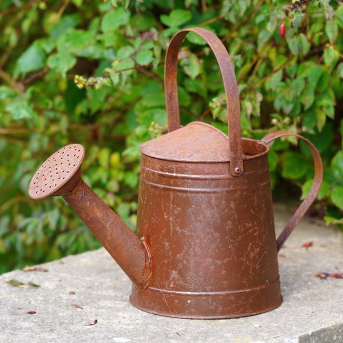 Large metal watering can - large,