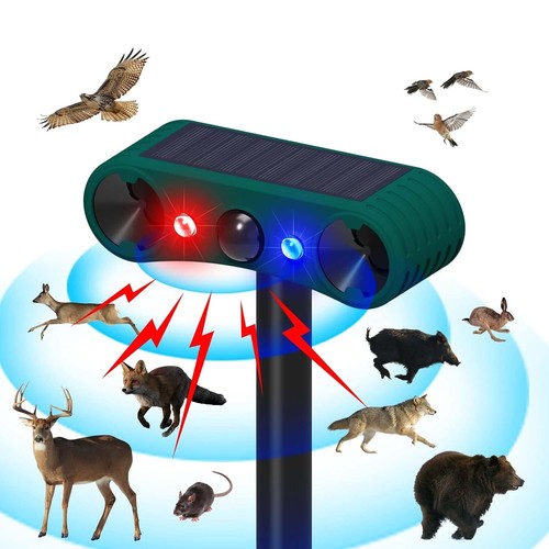 Outdoor solar wireless motion - outdoor,