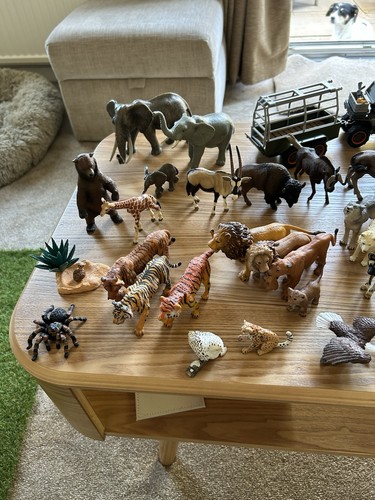 Schleich safari wildlife set - safari, set.