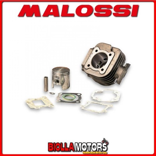 316882 cylinder malossi 70cc - 316882,