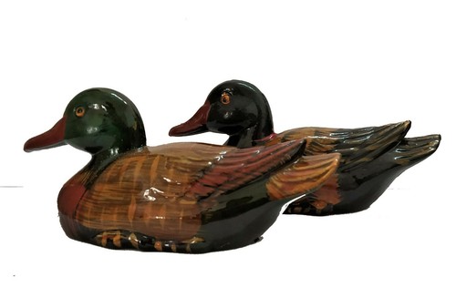 Feng shui mandarine - mandarine, ducks