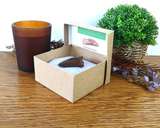 100% Genuine Carcharodontosaurus Fossil Tooth T-Rex Dinosaur 45mm 1.8" Gift  Box