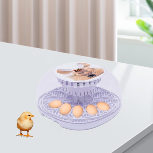 Digital egg incubator - digital, 12-egg