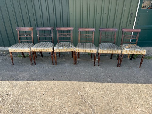 Antique wooden dining chairs - antique,