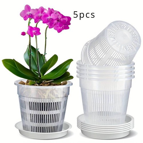 5pcs clear plastic orchid - 5pcs,