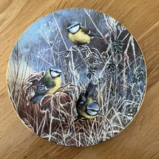 WINTER BLUETIT COALPORT BIRD