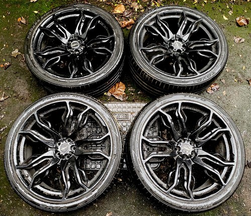 Gen overfinch estrella - 22”overfinch,