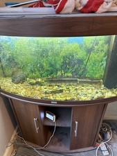 Fish Tank Aquarium Complete