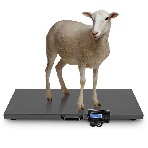 Heavy duty 1100lbs digital - 1100lbs,