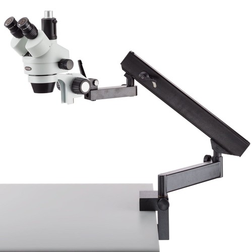 Amscope 45x trinocular zoom - trinocular,