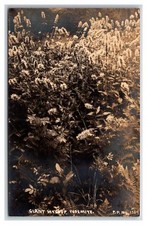 PILLSBURY PICTURES RPPC