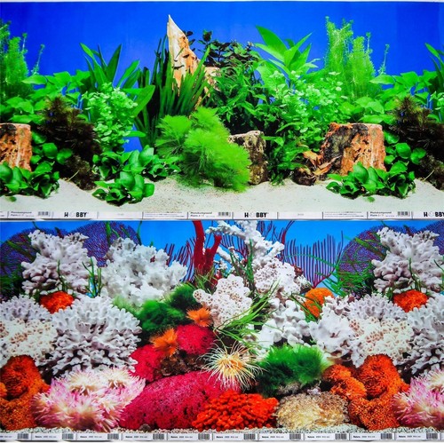 Aquarium fish tank background - fish,