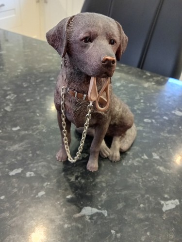 Leonardo collection dog - ,