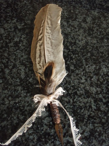 Small pheasant feather - pheasant,