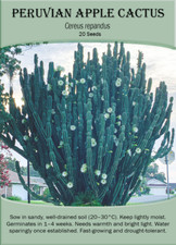 Peruvian Apple Cactus (Cereus