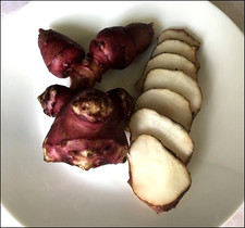 10 Tubers Premium Organic Red