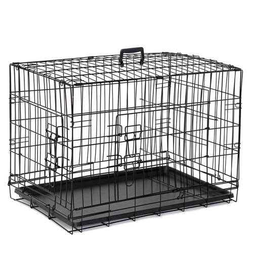 Medium sized pet - medium-sized,