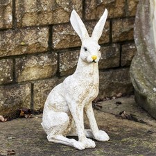 Large Aged White Garden March