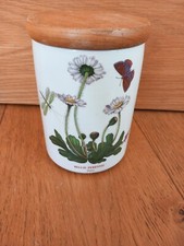 Portmeirion botanic garden