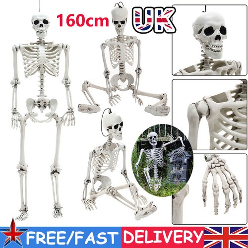 160cm poseable human - poseable,
