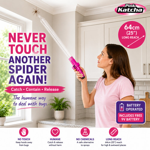 Katcha spider and - katcha, bug