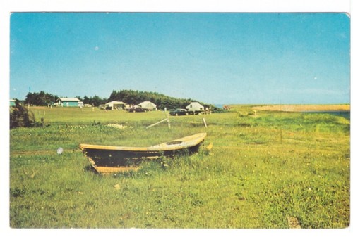 Dory boat campbells - campbells, cove