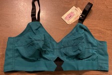 What Katie Did Coleen Bullet