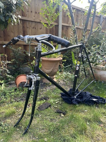 Bottecchia carbon frameset - bottecchia,