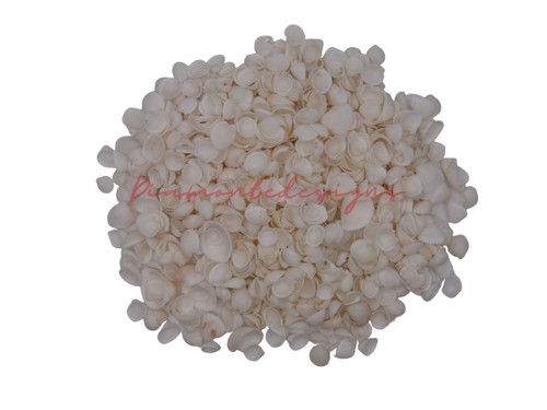 Mini white cockle - white,