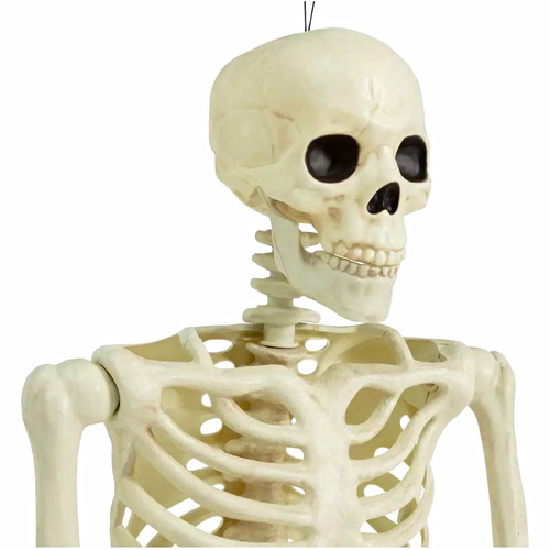 Halloween extra large skeleton - extra,