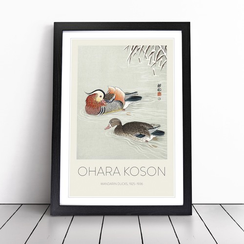 Mandarin ducks ohara - mandarin, koson