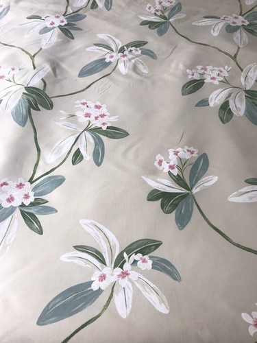 Sanderson oleander - sanderson,