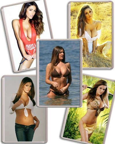 Lucy pinder fridge magnet - lucy,
