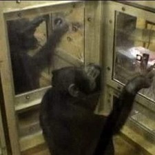 2cast Iron Water Pumps Size