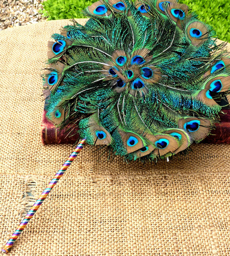 Vintage peacock feather fan - vintage,
