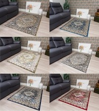 New Large Traditional Rug
