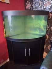 Corner fish tank  jewel trigon