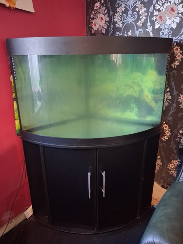 Corner fish tank jewel trigon - tank,