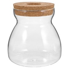  Hydroponic Plants Container Terrarium Glass Planter Succulent Terrariums for