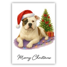 American Bulldog Christmas Dog