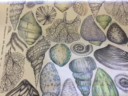 Designers guild shells - designers,