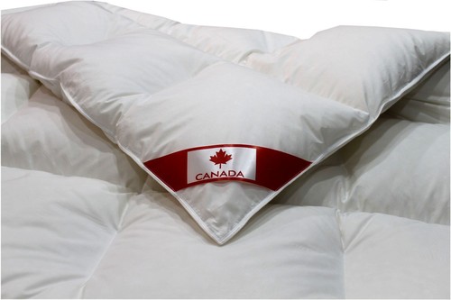Pure goose down comforter - goose,