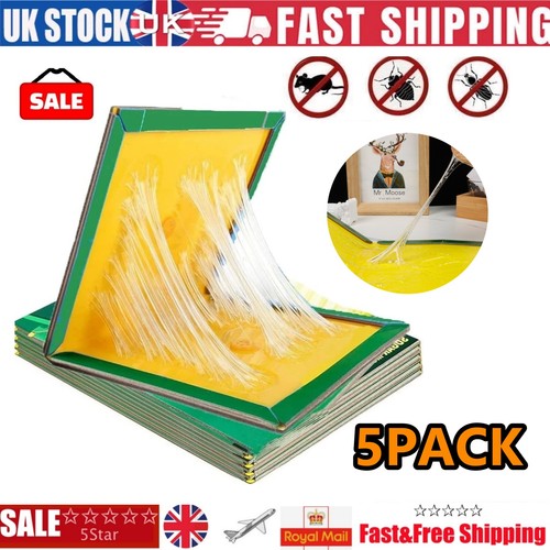 5pack mouse traps - mouse,