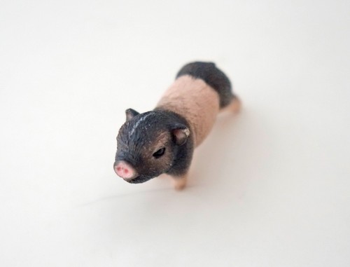 Schleich micro pig mini - schleich,