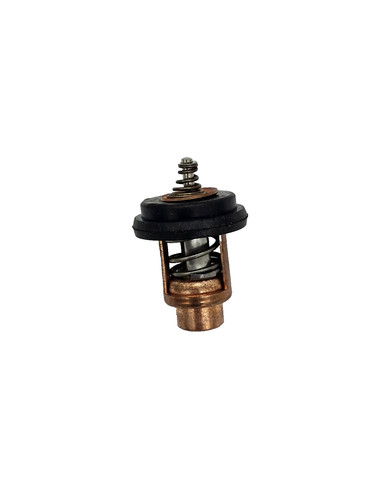 Thermostat for mercury mariner - mercury,