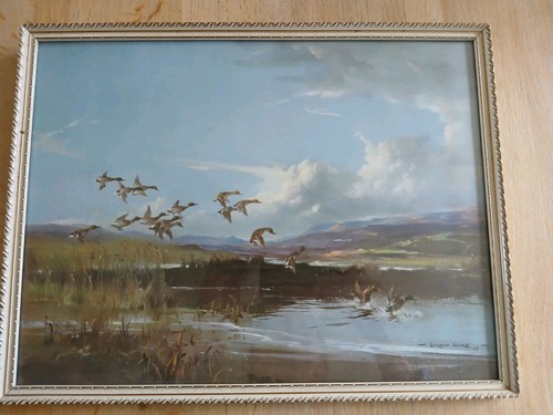 Vernon ward 1945 flying ducks - vernon,