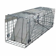 Squirrel / Rat Trap Metal