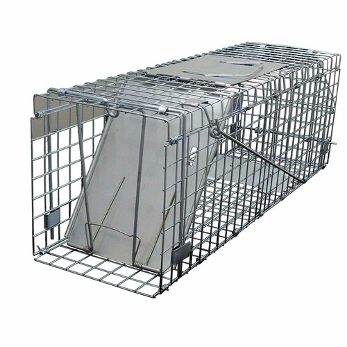 Squirrel rat trap metal - squirrel,
