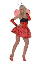 Adult Lady Bug Bird Insect Red